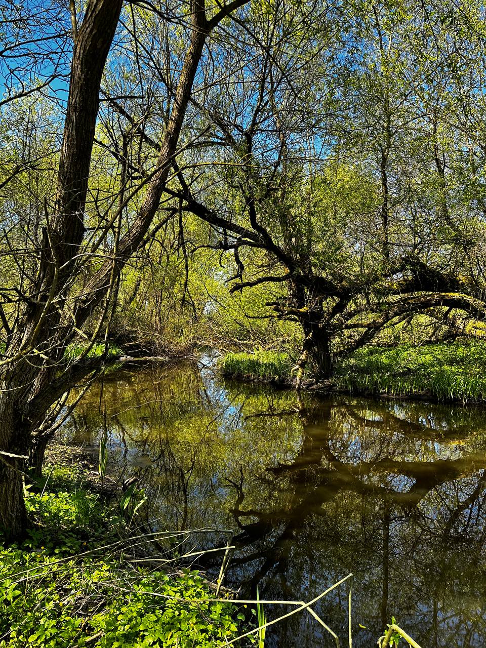 Канал парка Альба весной — субботник апрель 2026