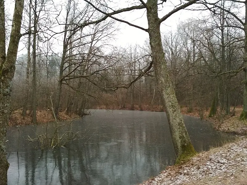 Туманная аллея с мостиком