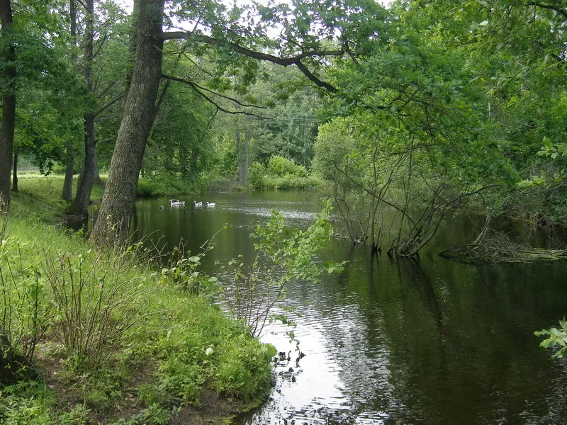 Канал парка Альба ранней весной — исследовательский субботник апрель 2026