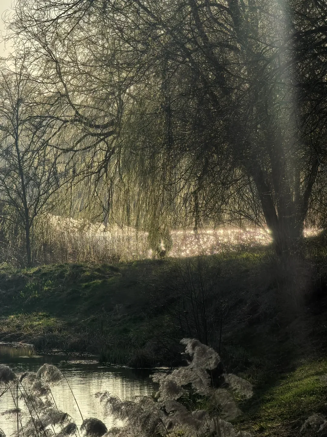 Замковые пруды Несвижа с видом на замок