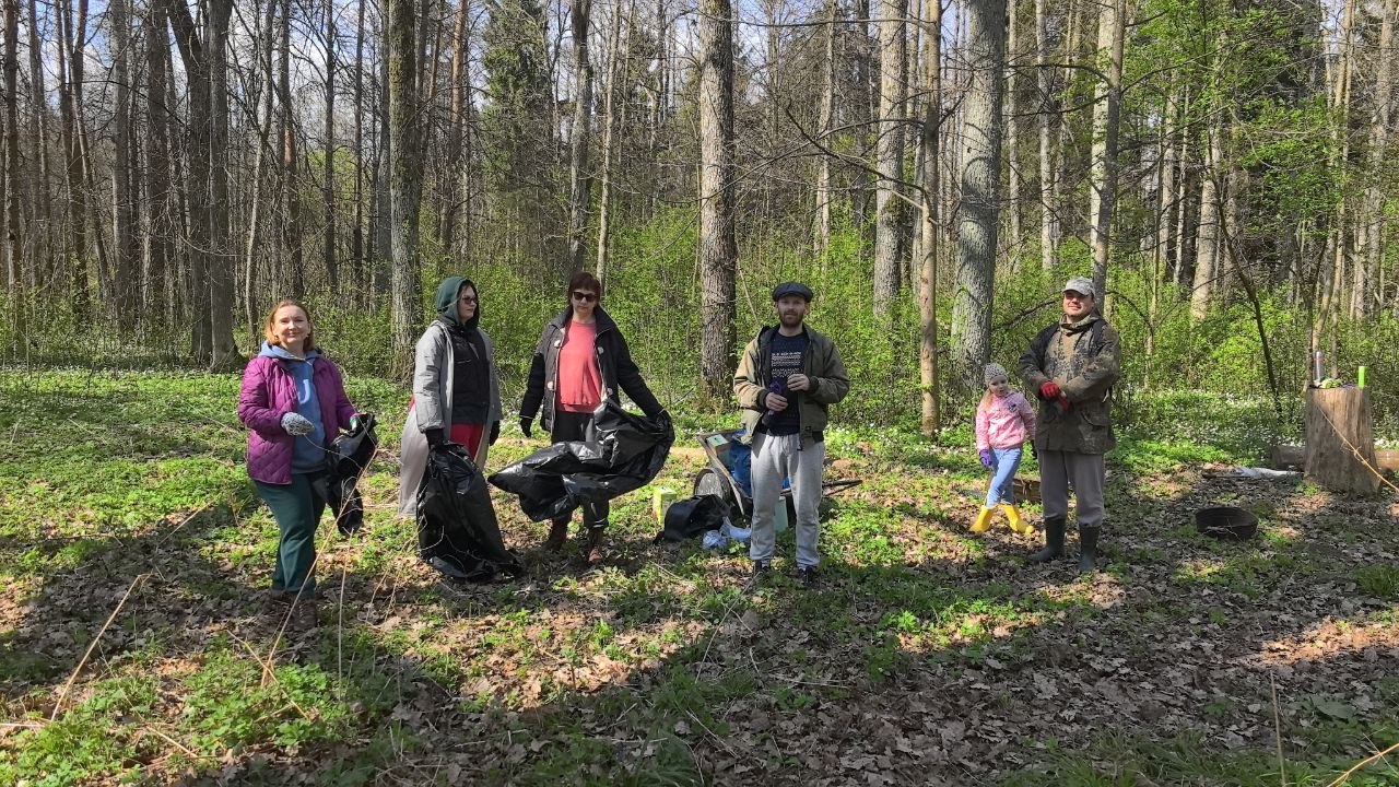 Волонтёрский субботник в парке Альба — расчистка леса