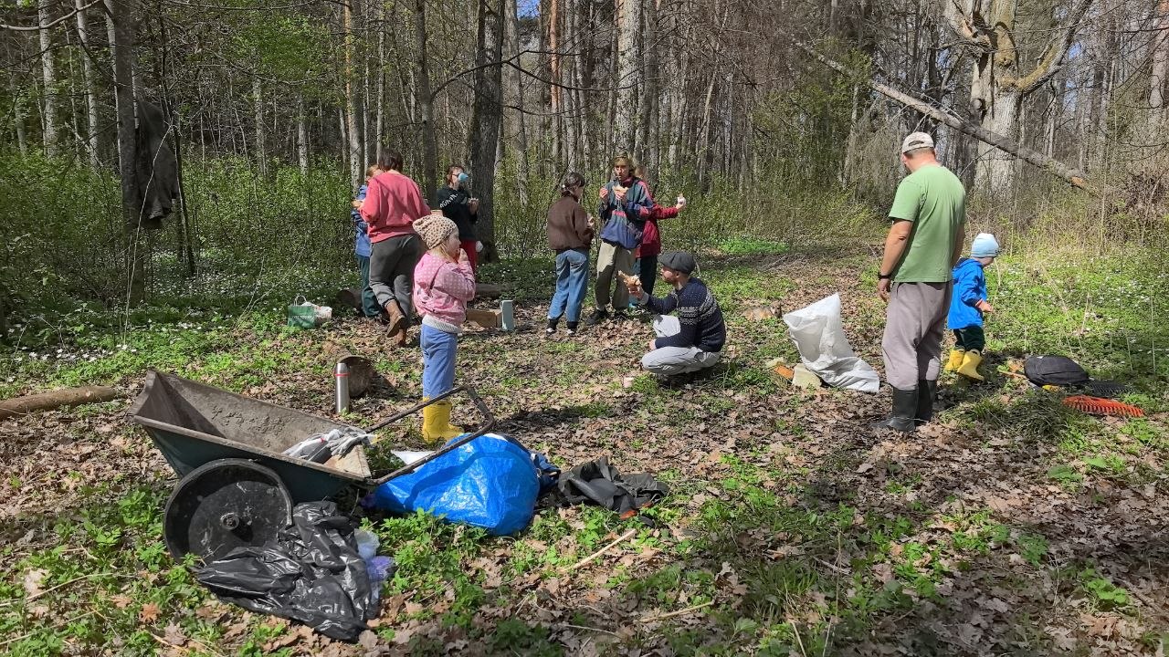 Волонтёр расчищает заросли в парке Альба