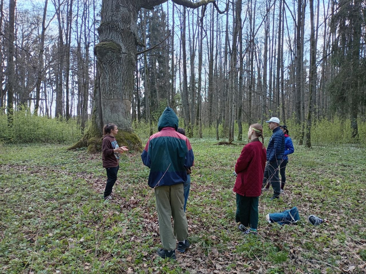 Субботник в Несвиже — уборка мусора у берега замкового пруда с видом на замок
