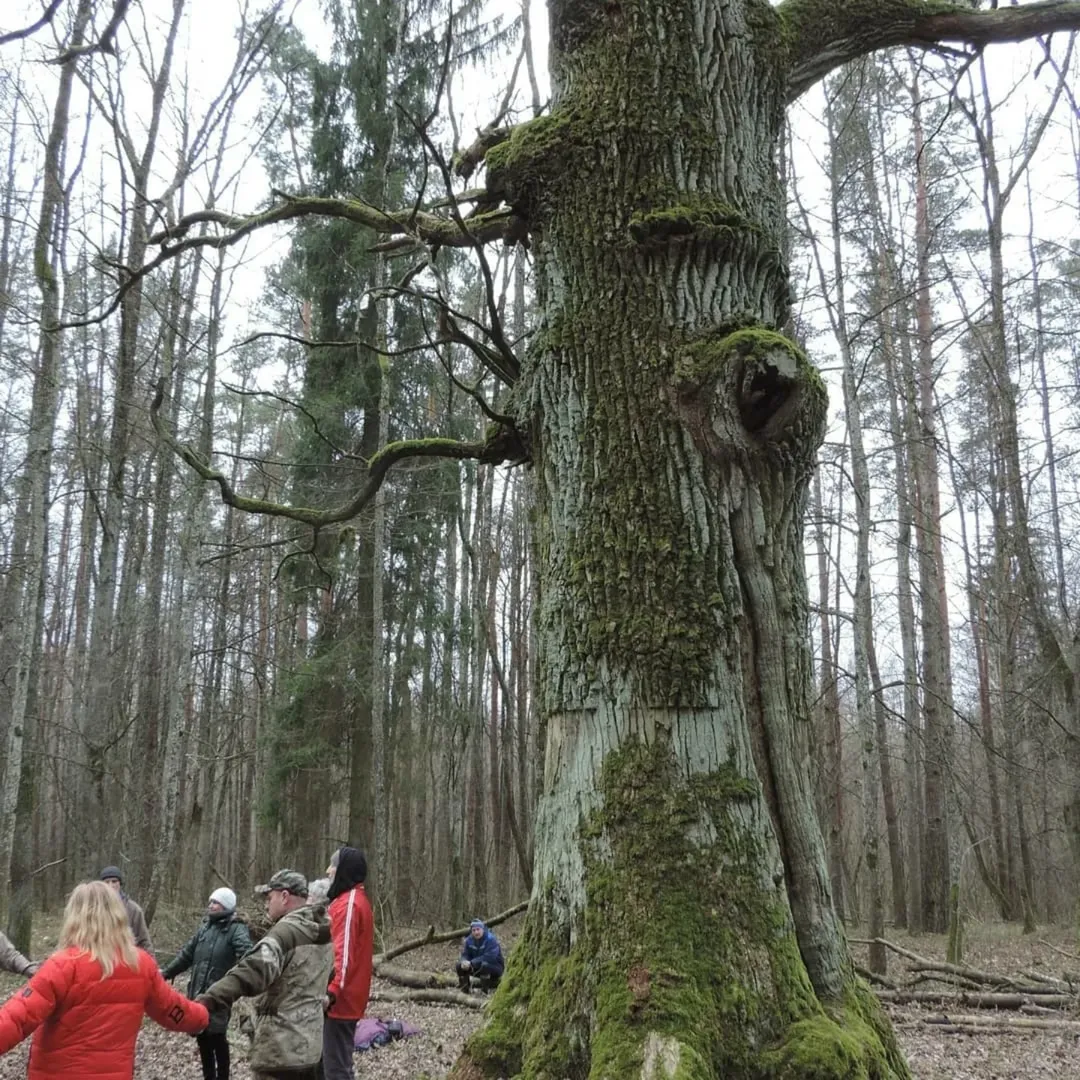 Группа волонтёров у векового дуба парка Альба — субботник